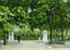 University of Tennessee Gateway, Knoxville TN vintage print
