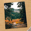 Mount Rainier National Park in Washington by Josh Hild Photo Print Wall Decor