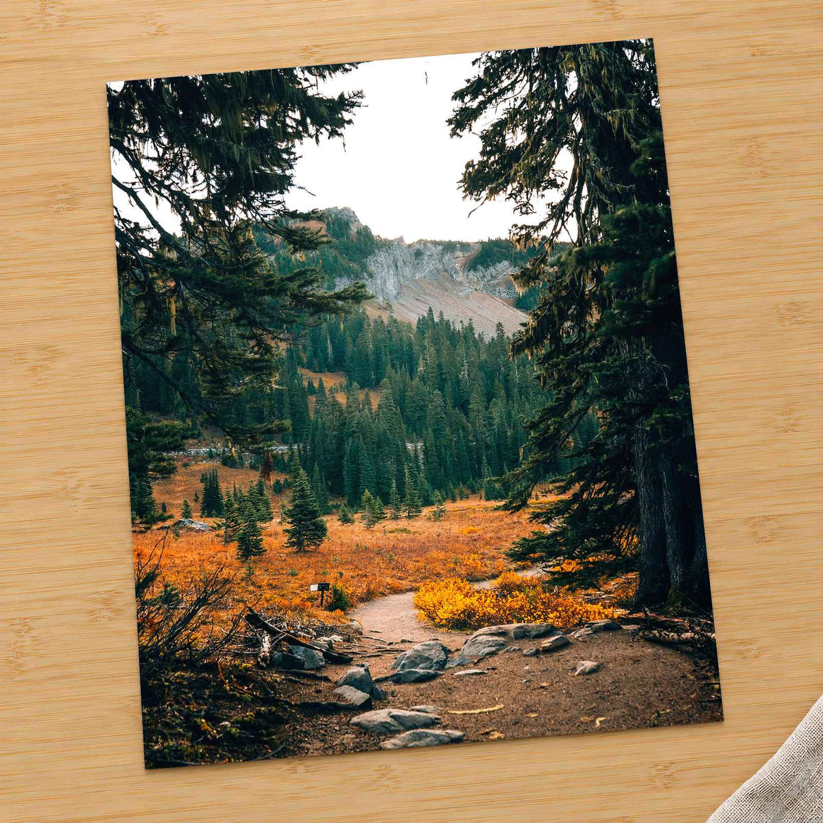 Mount Rainier National Park in Washington by Josh Hild Photo Print Wall Decor