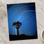 Joshua Tree with Spinning Stars Exposure Photo Print Wall Decor