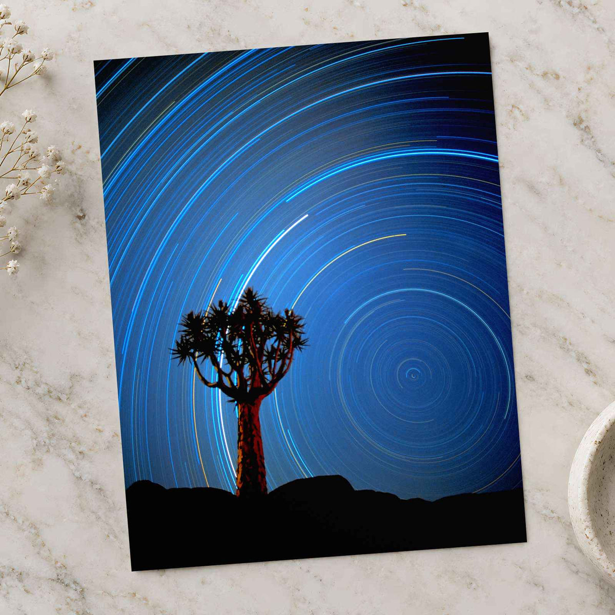 Joshua Tree with Spinning Stars Exposure Photo Print Wall Decor