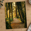 Pacific Northwest Rainforest by Hans Photo Print Wall Decor