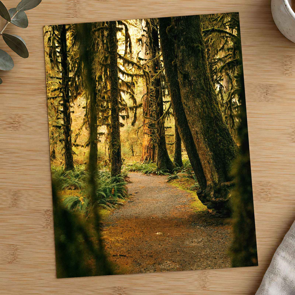 Pacific Northwest Rainforest by Hans Photo Print Wall Decor