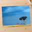 Herd of Giraffe Walking Across Savanna Photo Print Wall Decor