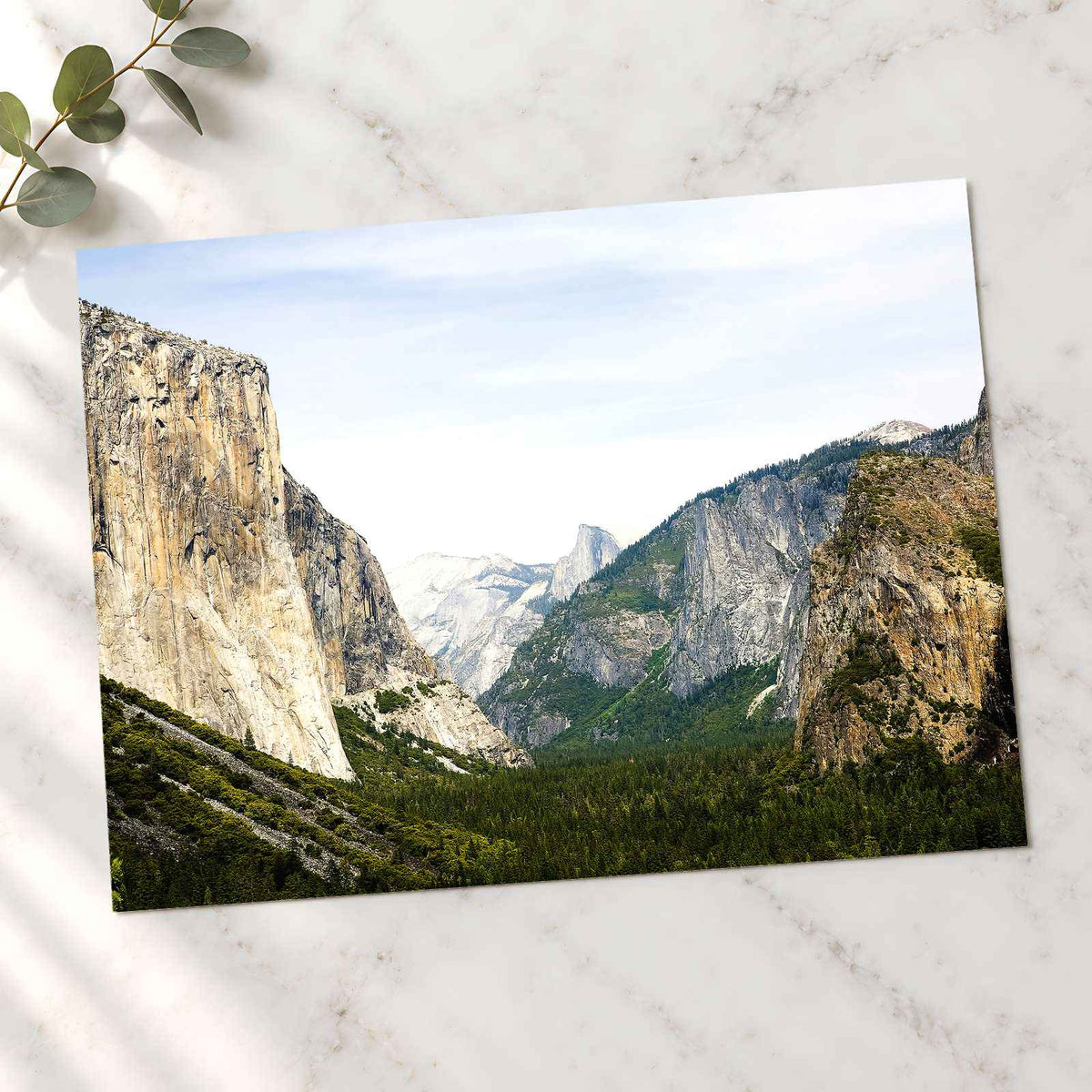 El Capitan in Yosemite National Park Photo Print Wall Decor