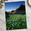 Rocky Mountains National Park Flowers Photo Print Wall Decor