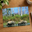 Herd of Elephants in India Photo Print Wall Decor