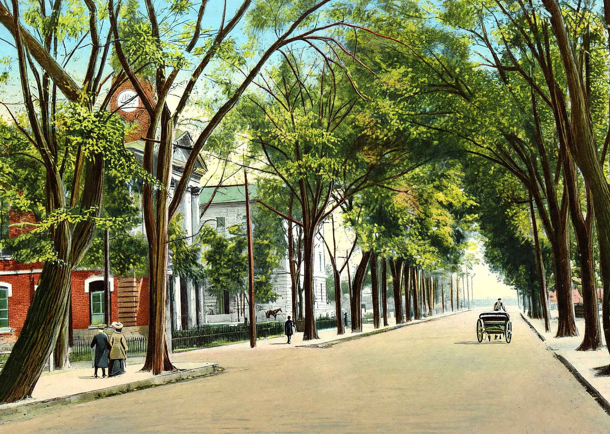 East Main Street, Elizabeth City, NC in 1907 vintage print