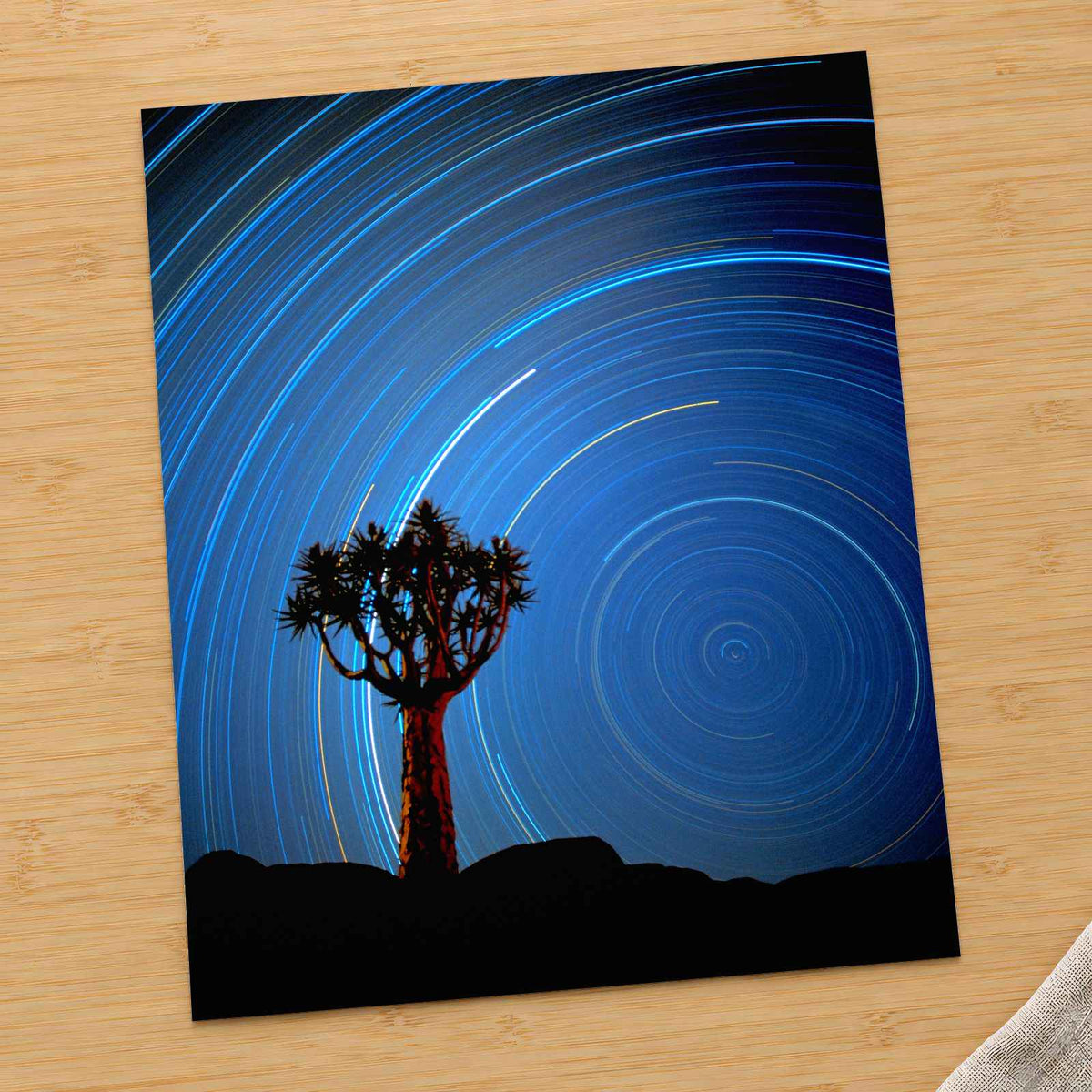 Joshua Tree with Spinning Stars Exposure Photo Print Wall Decor