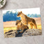 Two Lionesses in Savanna Photo Print Wall Decor