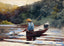 Boy Fishing art print by Winslow Homer (1892)
