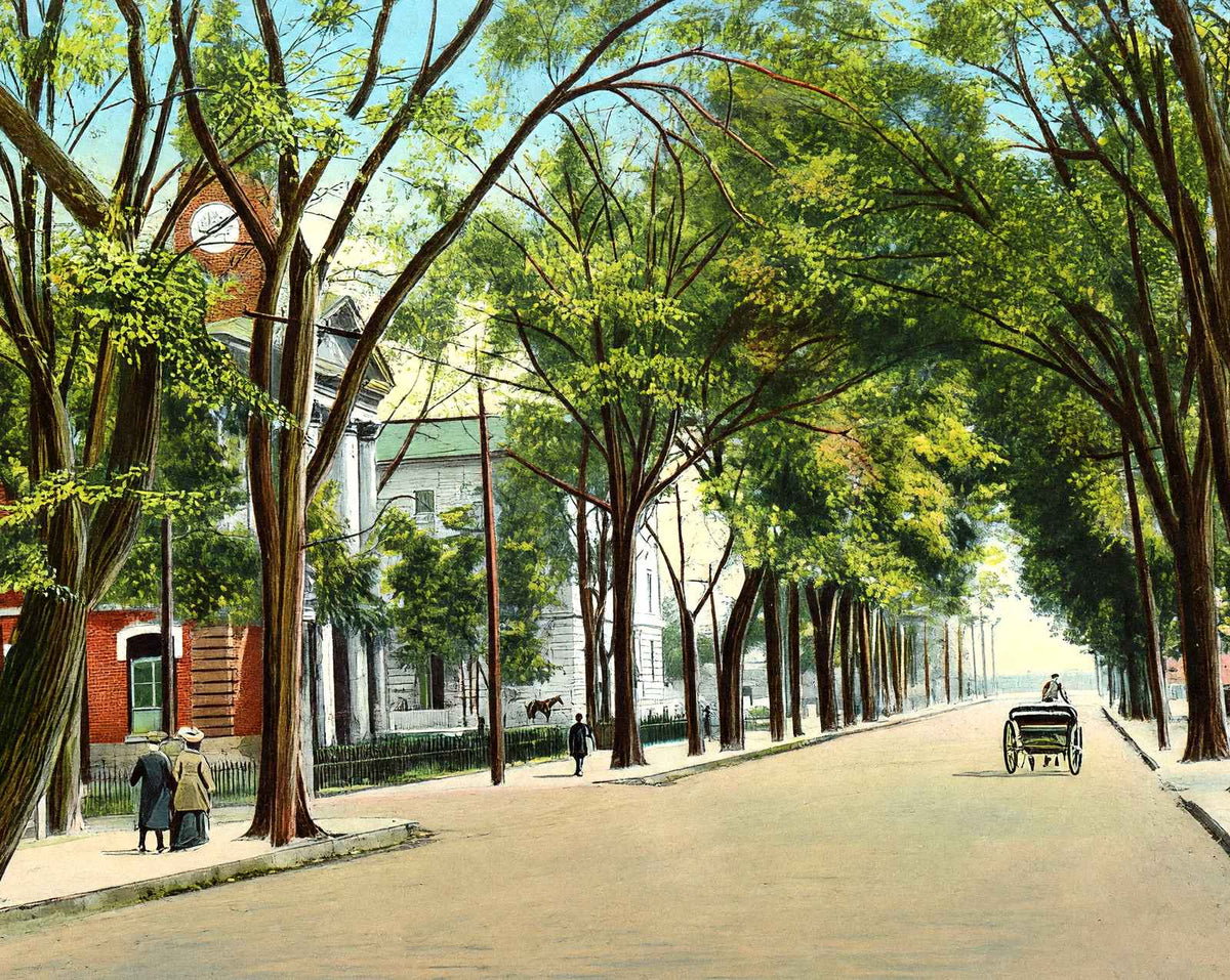 East Main Street, Elizabeth City, NC in 1907 vintage print