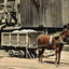 Coal Mining Dirt Chutes in 1908 vintage print