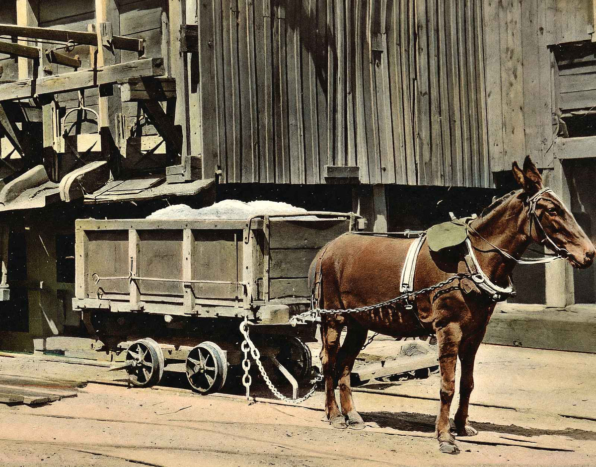 Coal Mining Dirt Chutes in 1908 vintage print