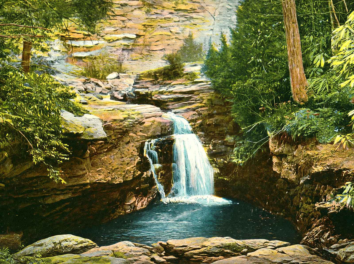 Falls at Nay Aug Park, Scranton, PA in 1907 vintage print