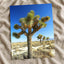 Joshua National Park Photo Print Wall Decor