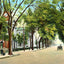East Main Street, Elizabeth City, NC in 1907 vintage print
