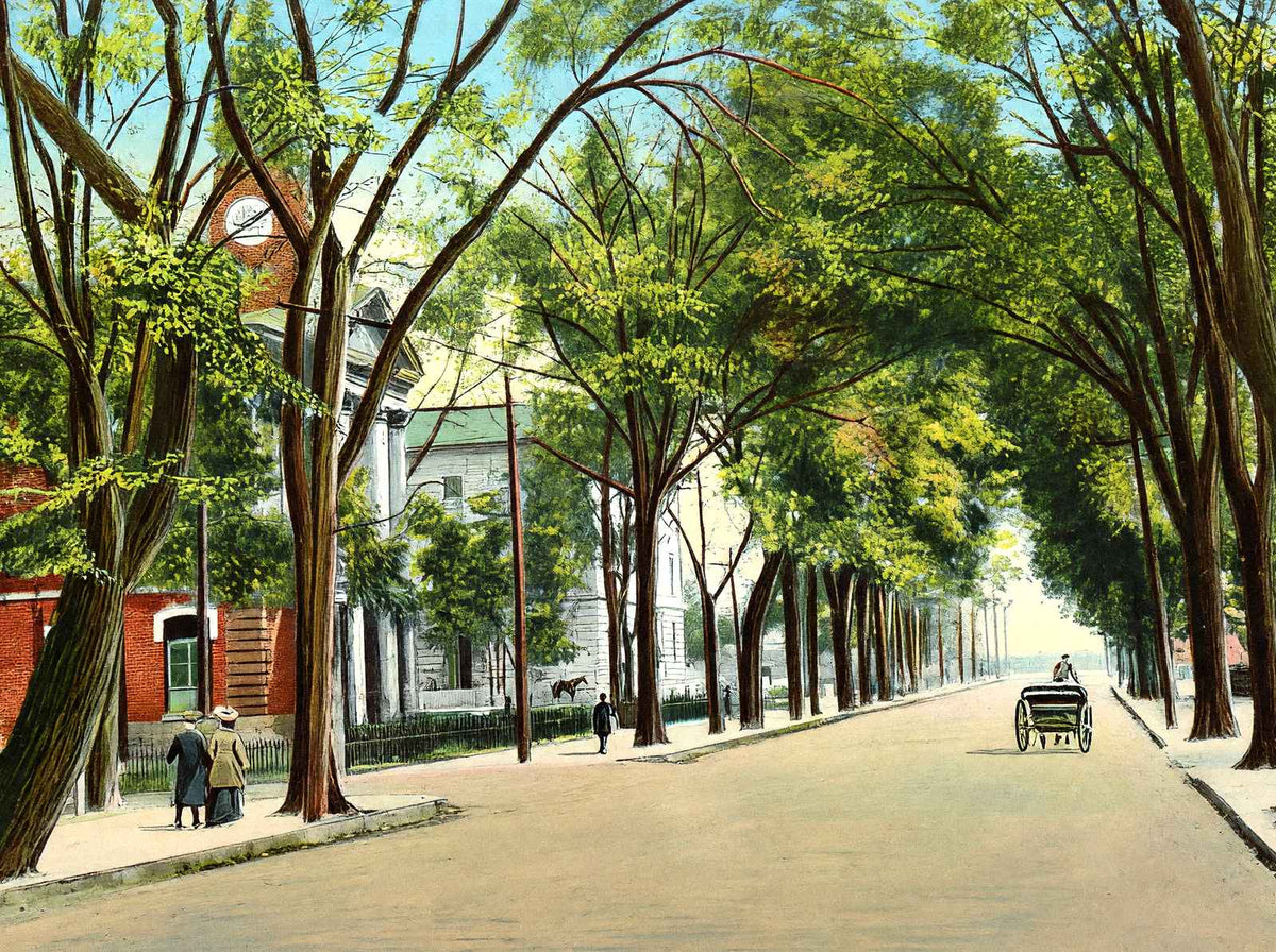 East Main Street, Elizabeth City, NC in 1907 vintage print
