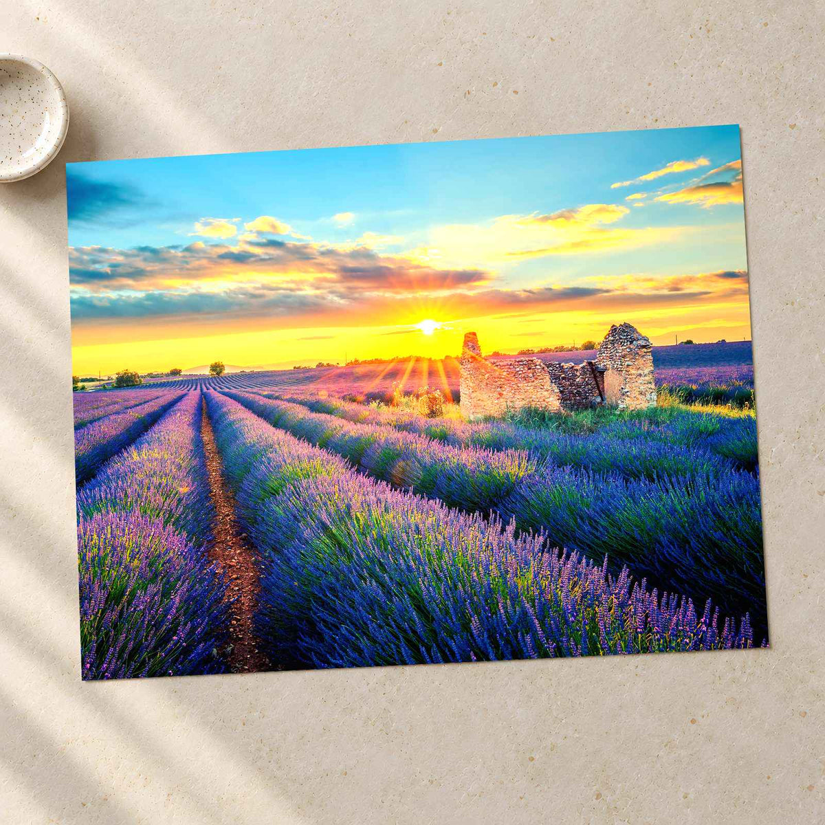 French Lavender Field at Sunset Photo Print Wall Decor