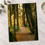Pacific Northwest Rainforest by Hans Photo Print Wall Decor