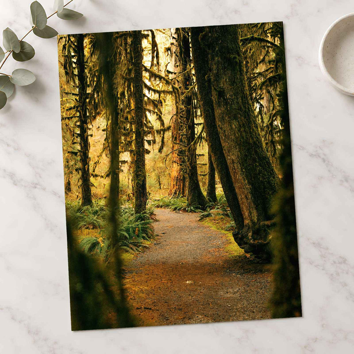 Pacific Northwest Rainforest by Hans Photo Print Wall Decor