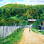 Chickasaw Bluff, Vicksburg, MS in 1906 painting