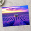 Beautiful Lavender Field at Sunset Photo Print Wall Decor