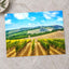 Vineyard in Tuscany, Italy Photo Print Wall Decor