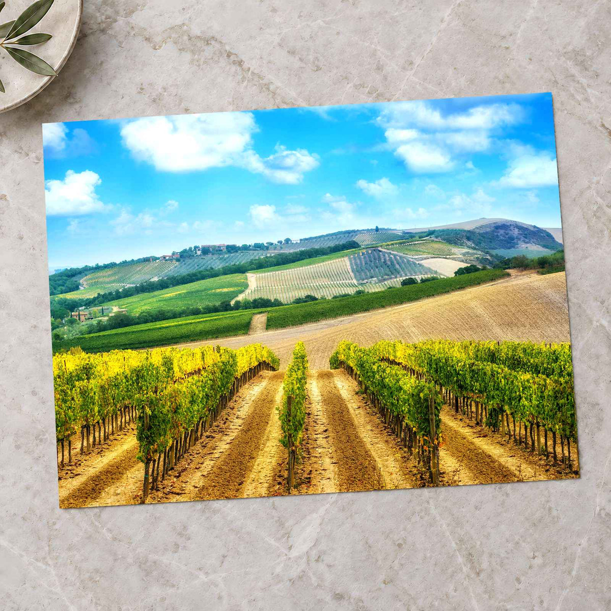 Vineyard in Tuscany, Italy Photo Print Wall Decor