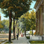 Main Avenue, Knoxville, TN in 1907 vintage print