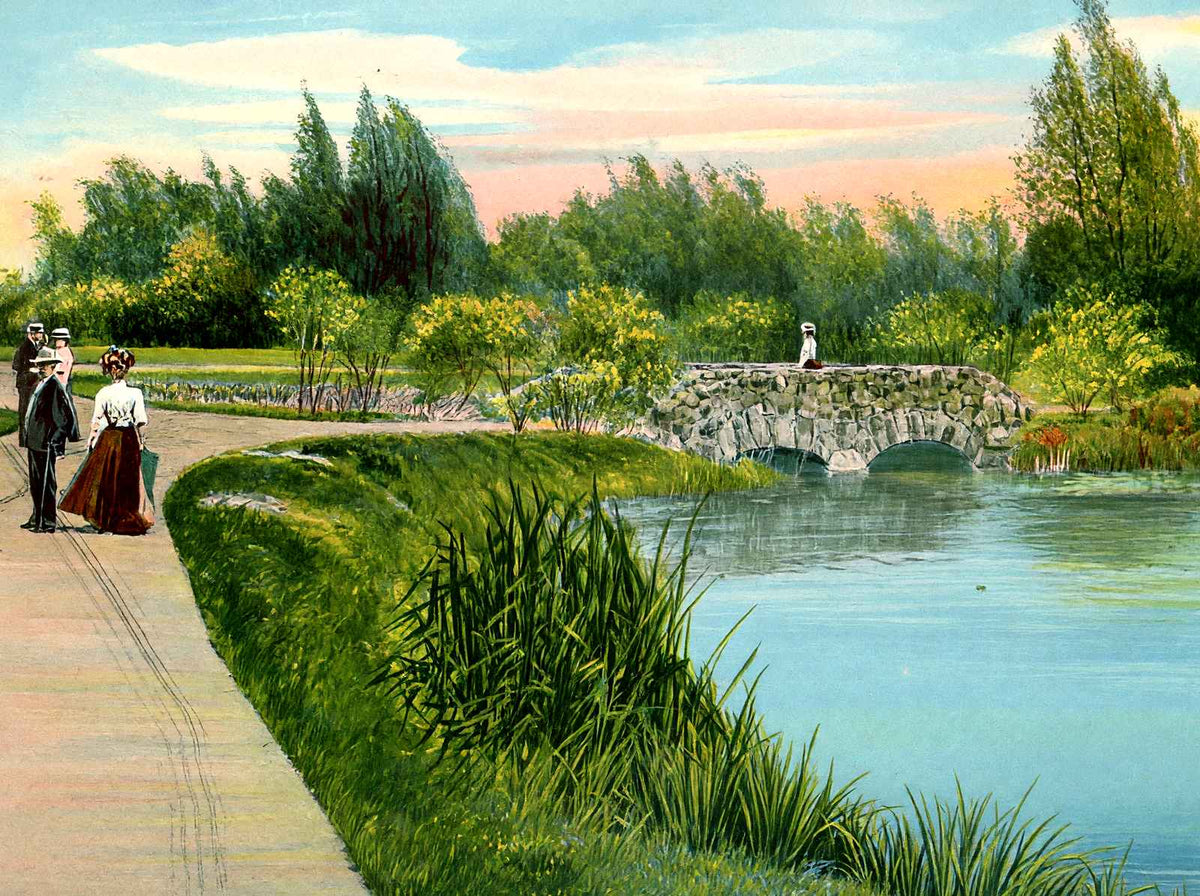 Lily Pond, Washington Park, Milwaukee, WI vintage print
