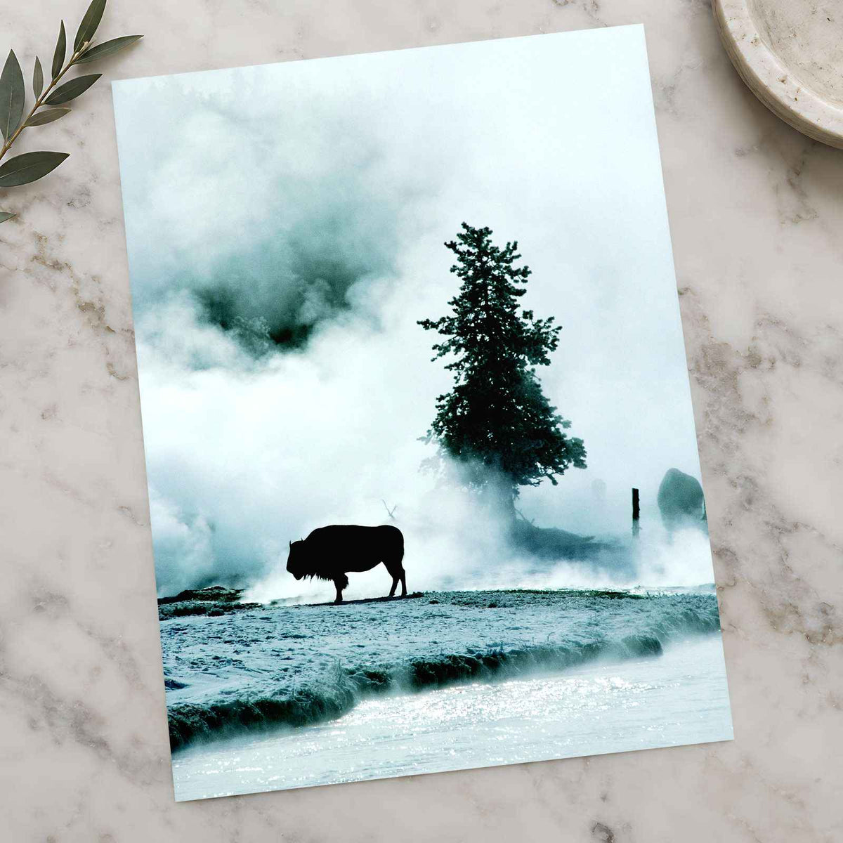 Yellowstone National Park in Wyoming Photo Print Wall Decor