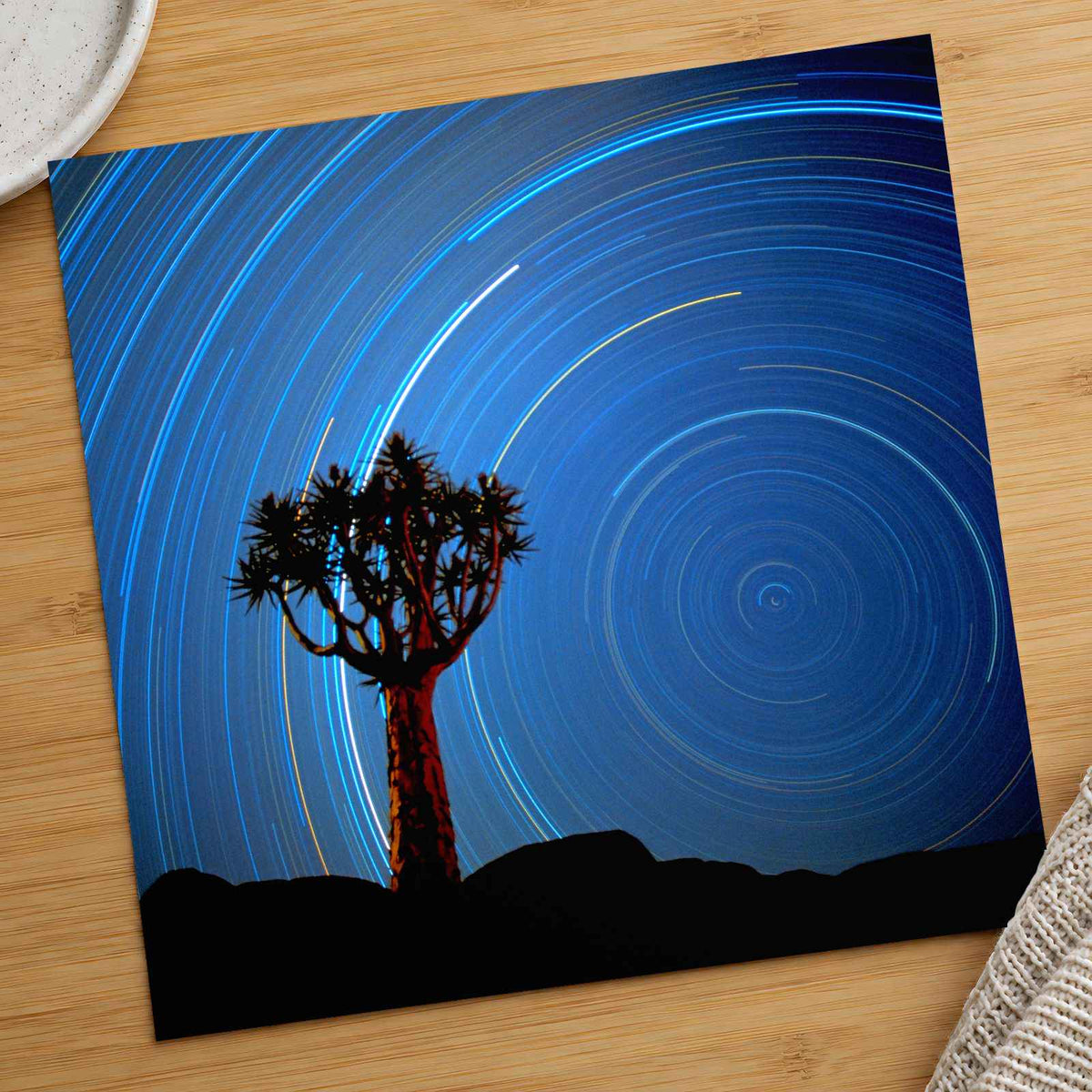Joshua Tree with Spinning Stars Exposure Photo Print Wall Decor