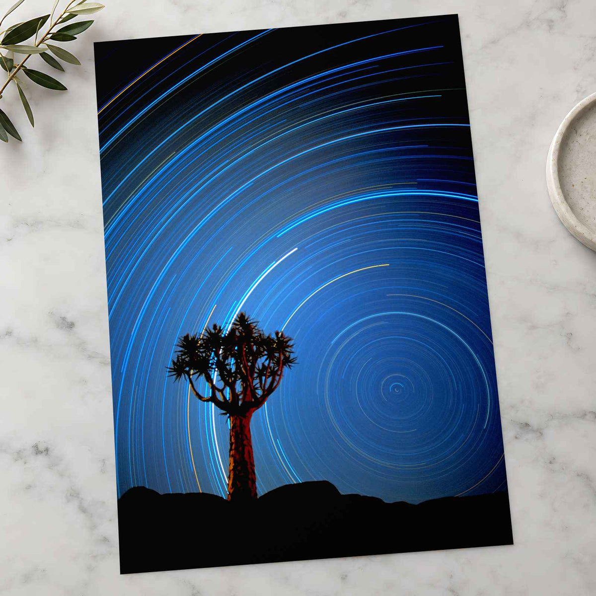 Joshua Tree with Spinning Stars Exposure Photo Print Wall Decor