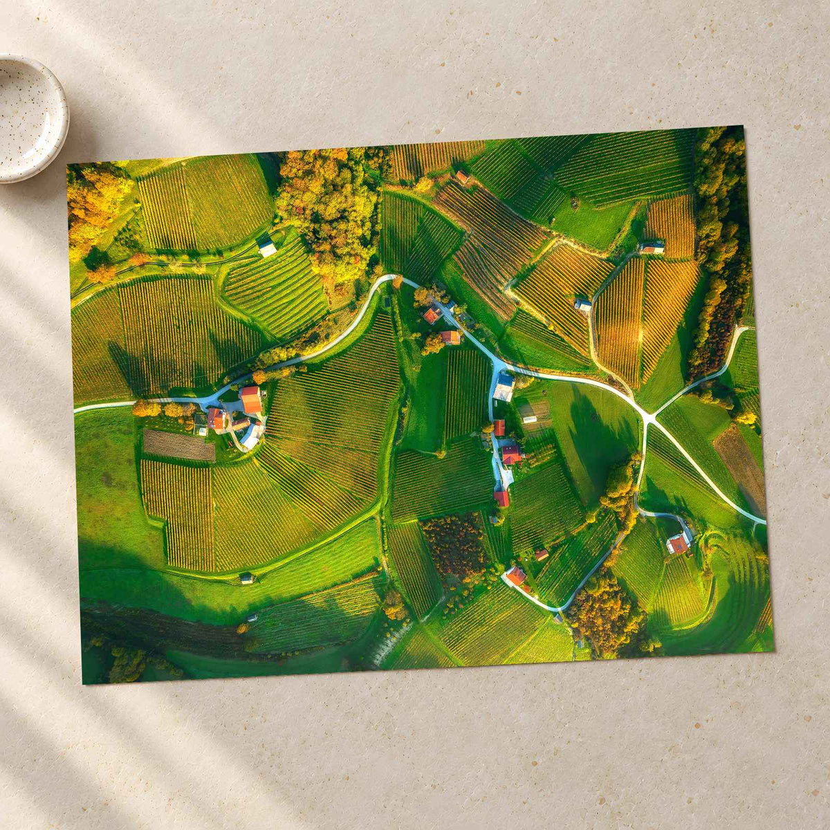 Vineyards from Above by Ales Krivec Photo Print Wall Decor