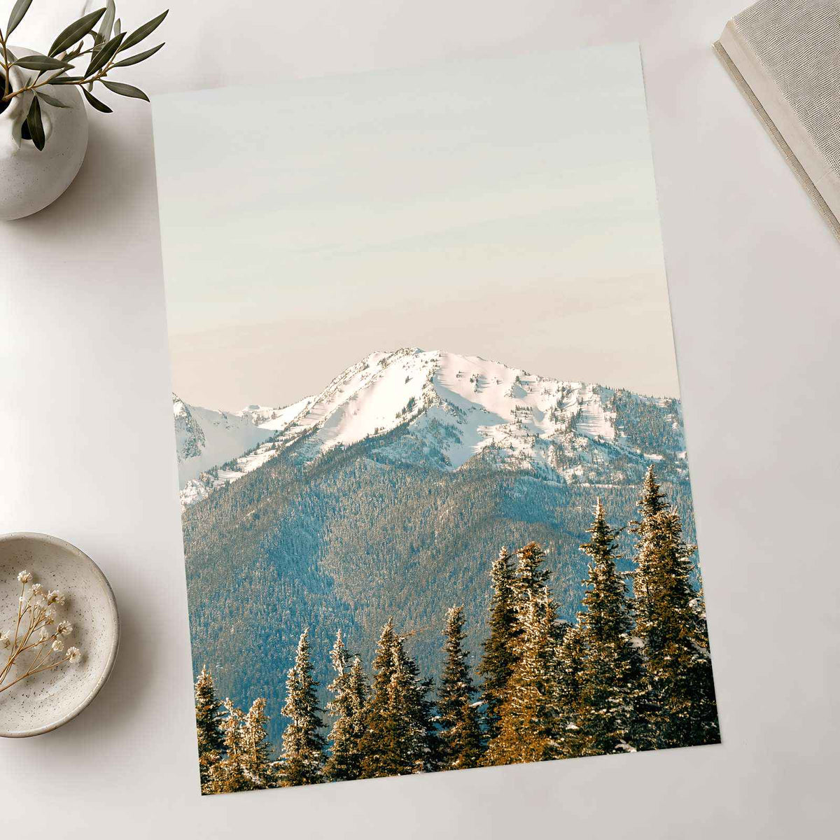Snowy Mountain Peak Olympic National Park by Hans Photo Print Wall Decor