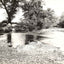 A Mountain Stream, Asheville NC in 1905 vintage print