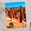 Bryce Canyon in Utah Photo Print Wall Decor