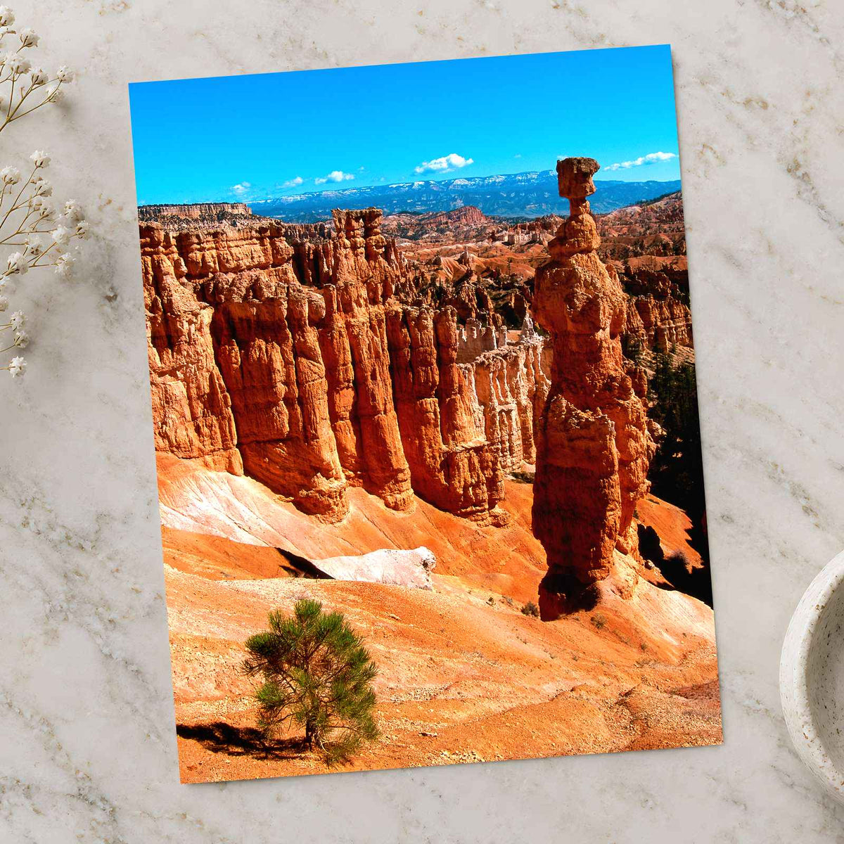 Bryce Canyon in Utah Photo Print Wall Decor