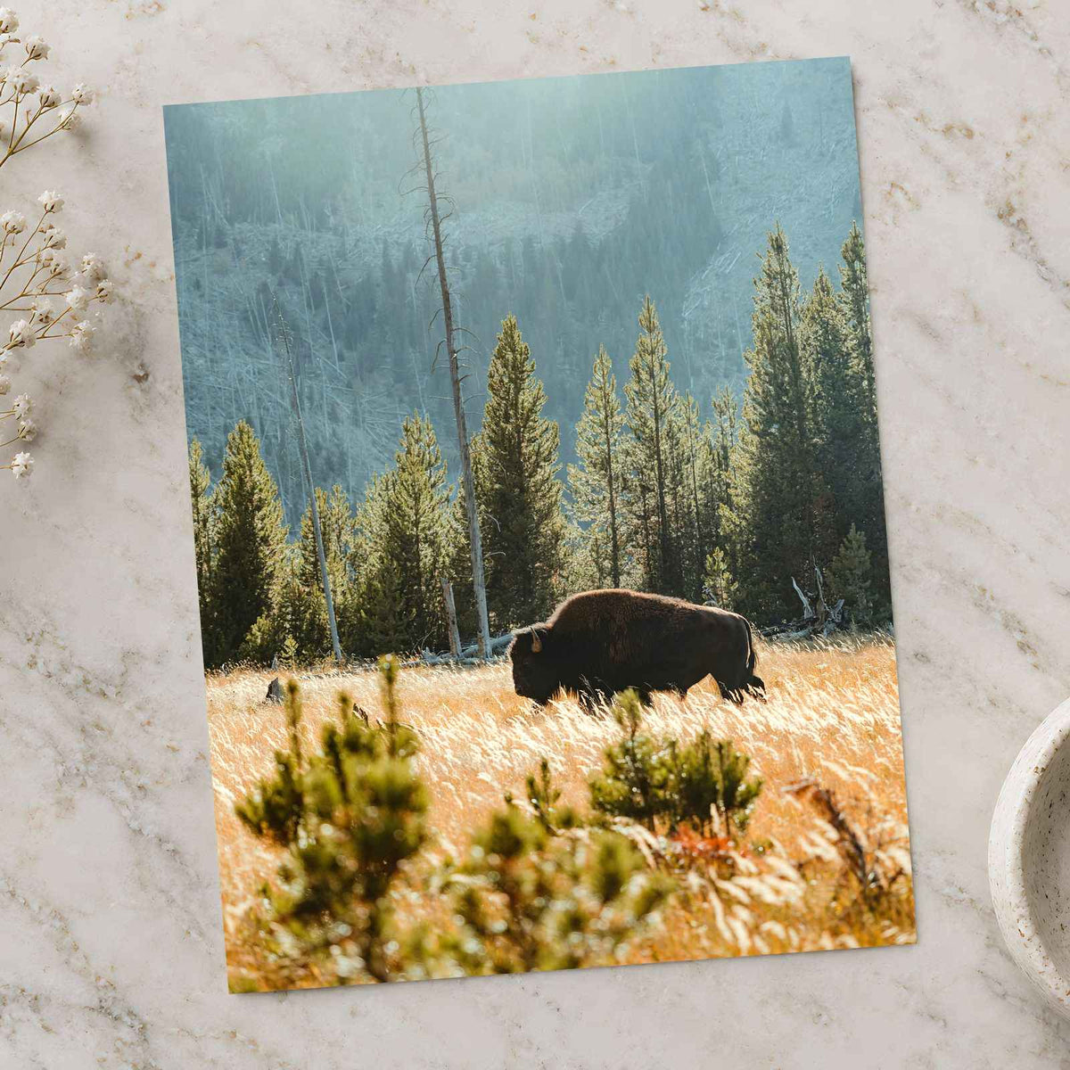 Buffalo Bison in Yellowstone, Wyoming by Joe Eitzen Photo Print Wall Decor