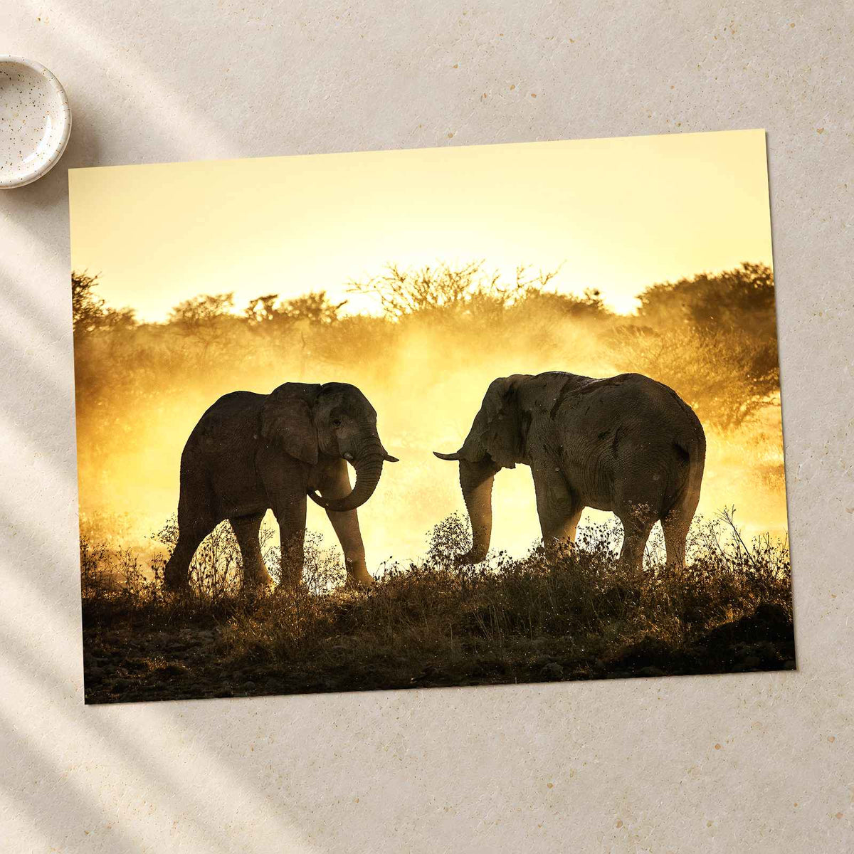 Bull Elephants Fighting Photo Print Wall Decor