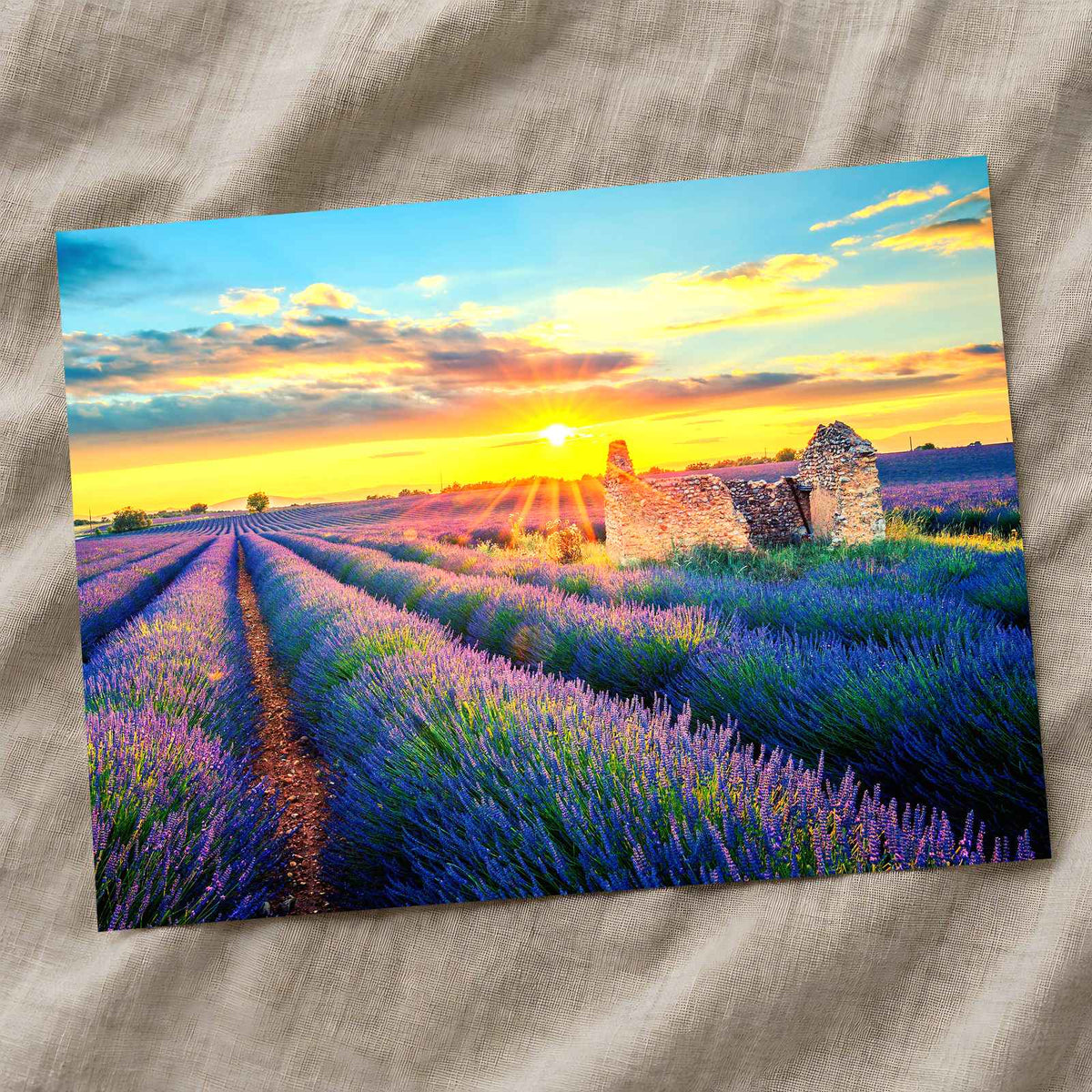 French Lavender Field at Sunset Photo Print Wall Decor