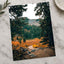 Mount Rainier National Park in Washington by Josh Hild Photo Print Wall Decor