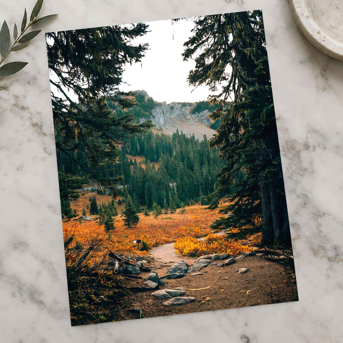 Mount Rainier National Park in Washington by Josh Hild Photo Print Wall Decor