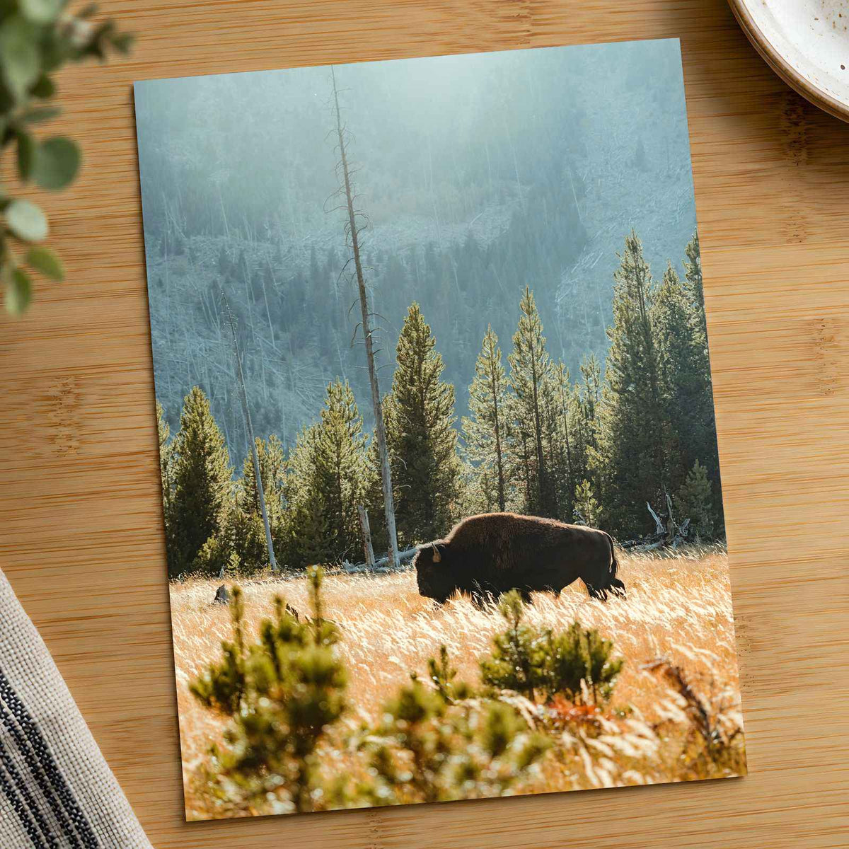 Buffalo Bison in Yellowstone, Wyoming by Joe Eitzen Photo Print Wall Decor