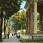 Main Avenue, Knoxville, TN in 1907 vintage print