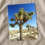 Joshua National Park Photo Print Wall Decor