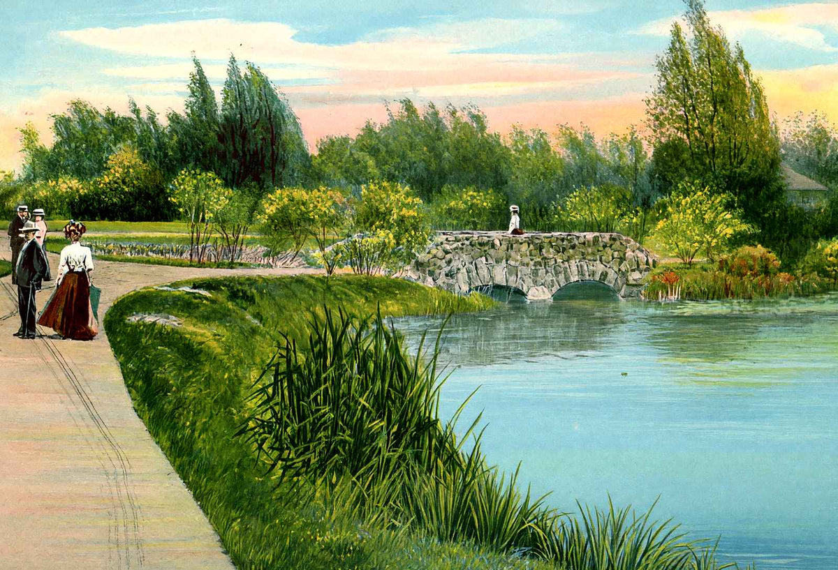 Lily Pond, Washington Park, Milwaukee, WI vintage print