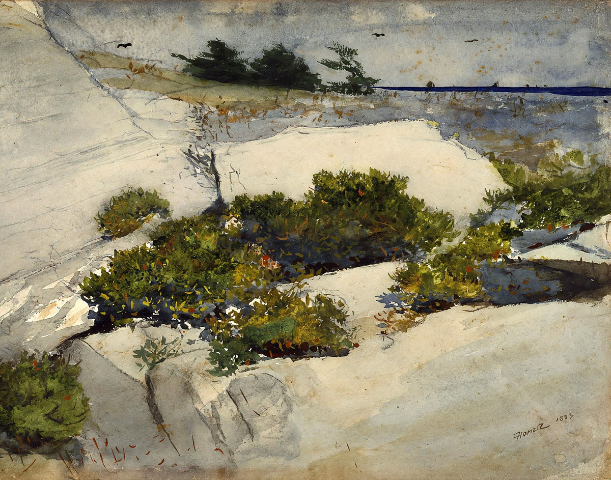 Maine Cliffs fine art print by Winslow Homer (1883)