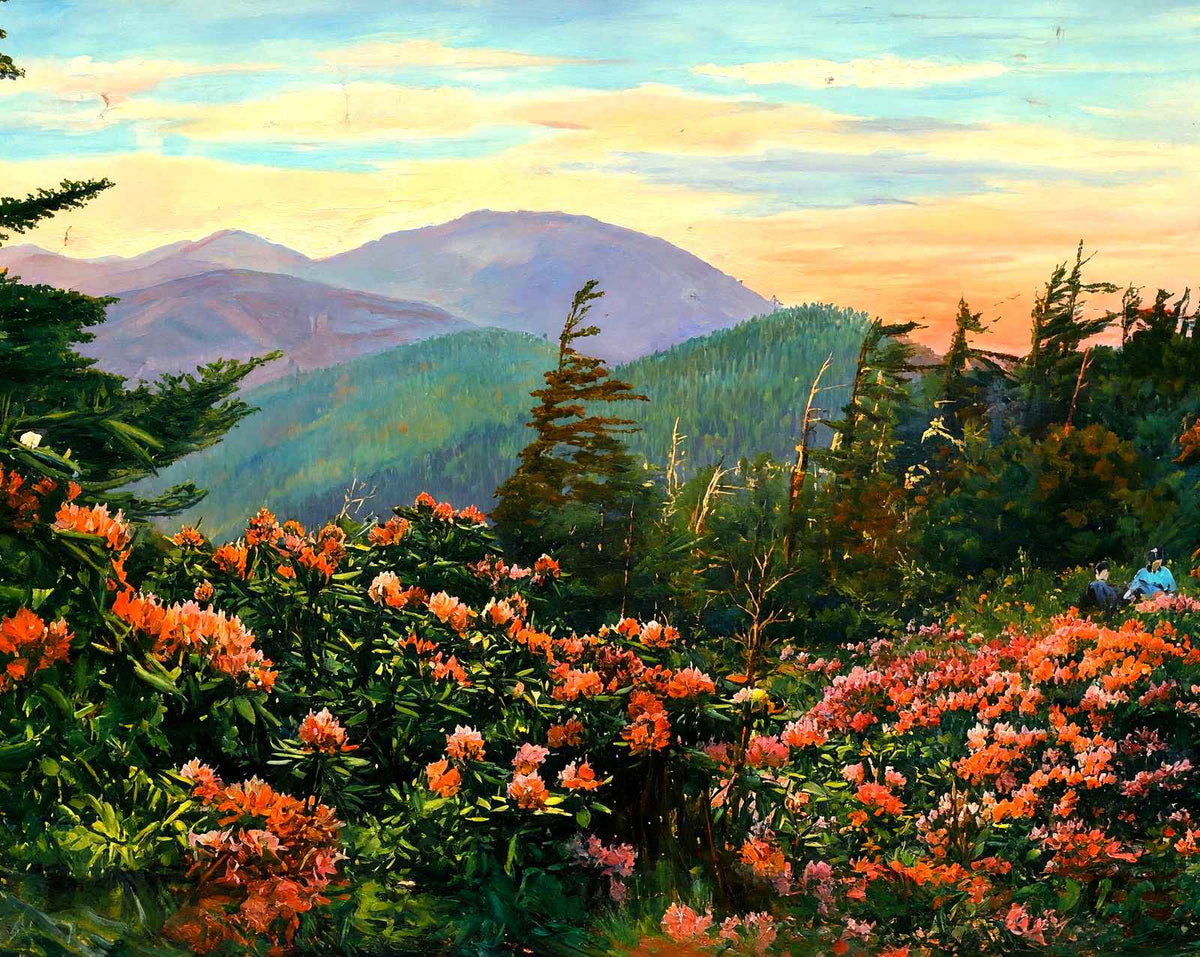Mt Mitchell, Asheville, NC in 1906 art print